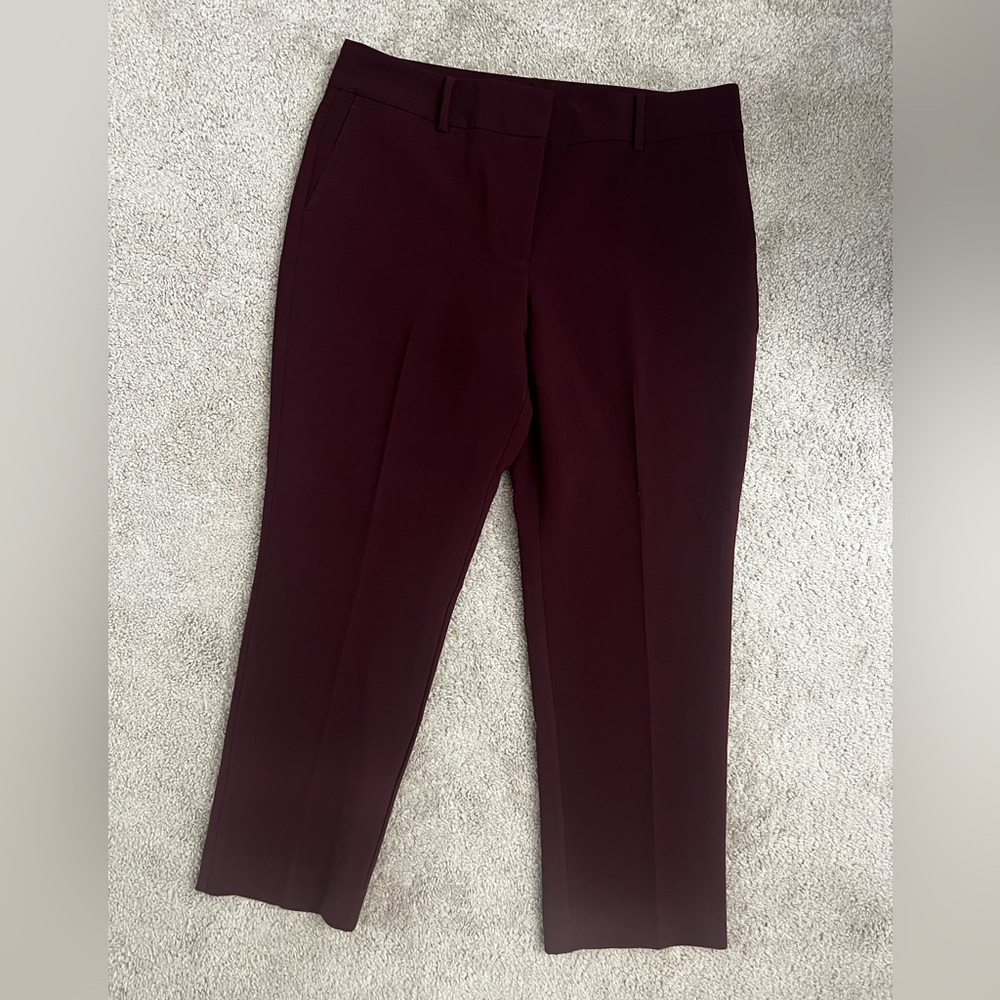 Ann Taylor Deep Burgundy Women's Trousers